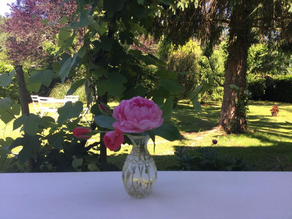 Le Balcon Des Jasses Bed and Breakfast Espere Eksteriør billede